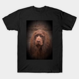 Portrait of a Sussex Spaniel T-Shirt